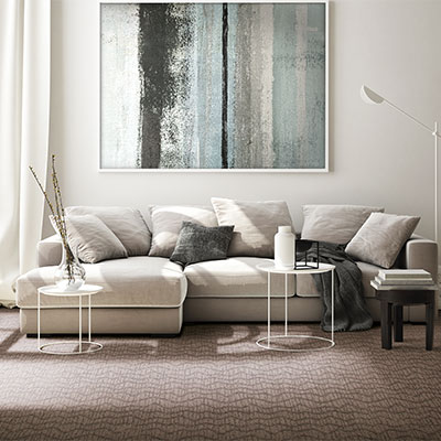 brown pattern carpet in cozy living room